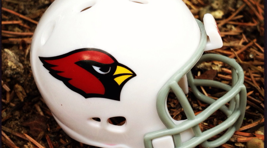 Arizona Cardinals – Fantasy Forecast – Week 16