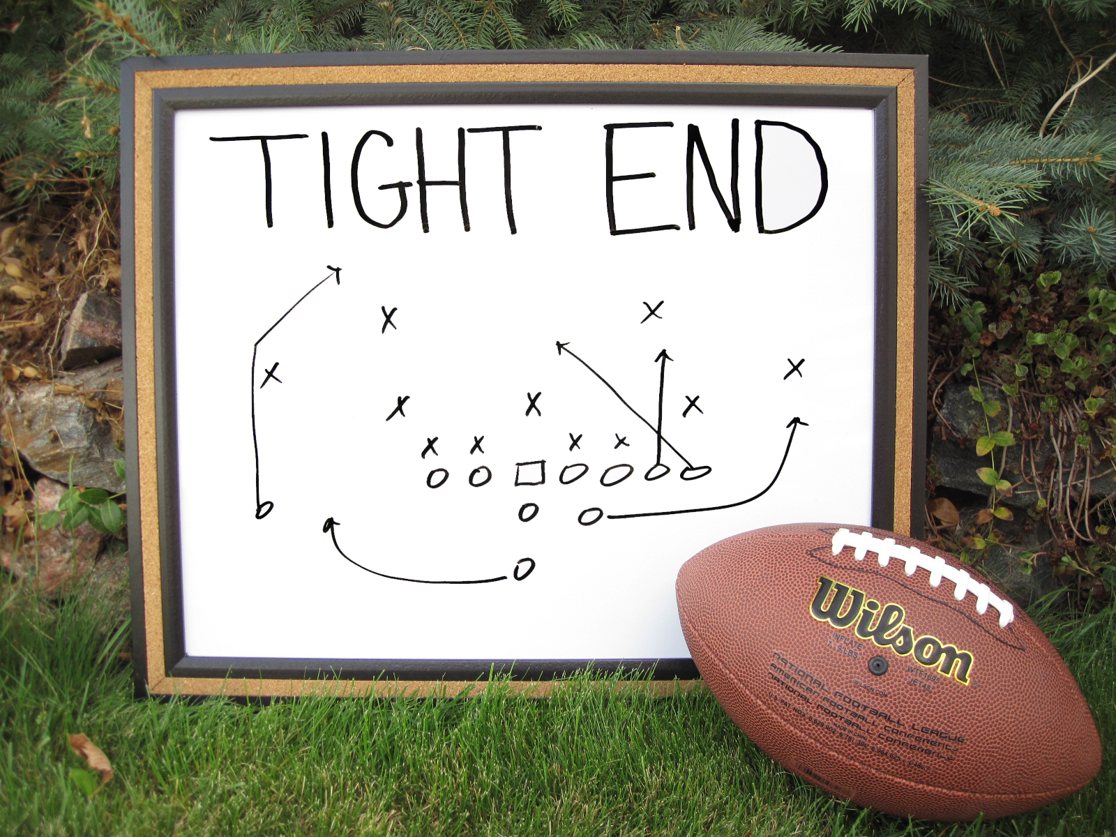 Top Five Rookie Tight Ends to Watch in 2014